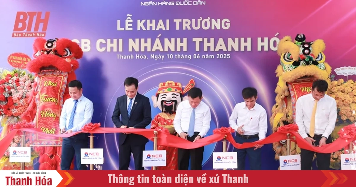 baothanhhoa.vn