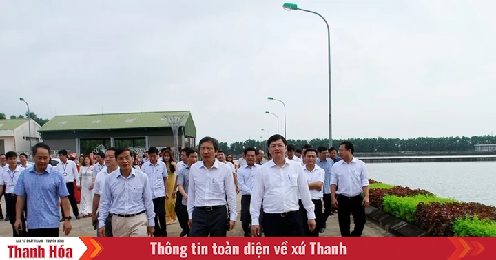 baothanhhoa.vn