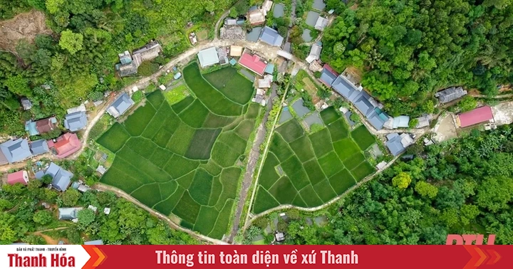 baothanhhoa.vn