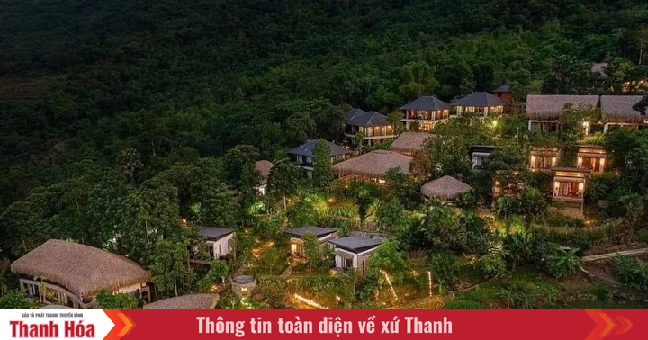 baothanhhoa.vn
