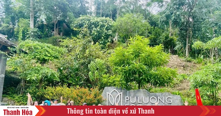 baothanhhoa.vn