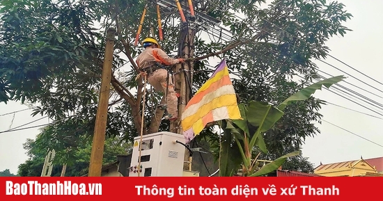 Lắp đặt Tụ Bù Công Suất Phản Kháng Giảm Tổn Thất điện Năng Tại Điện Lực 