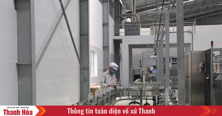 baothanhhoa.vn