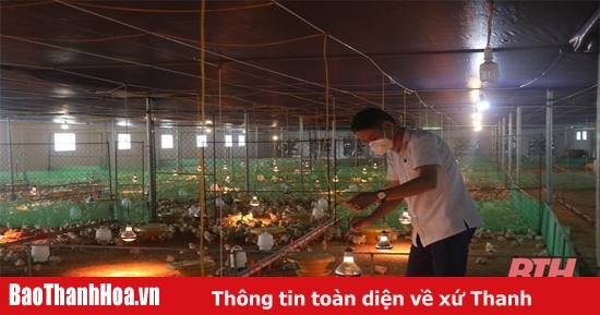 Các mầm bệnh thường gây nguy hại cho chăn nuôi và làm thế nào để ngăn ngừa chúng trong chăn nuôi an toàn sinh học?
