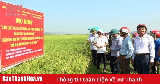 Đánh giá mô hình sản xuất lúa theo hướng hữu cơ tại xã Minh Tân