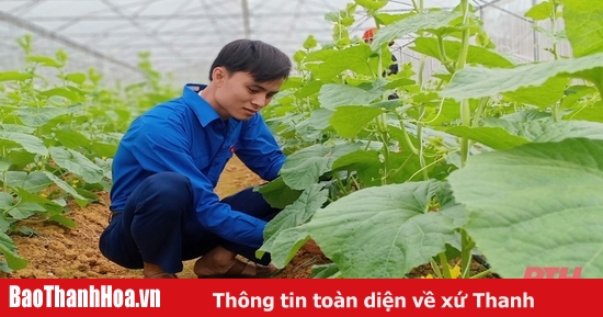 Mô hình nông nghiệp Nhật Bản của công ty Vạn Xuân #22 Mô hình nông nghiệp Nhật Bản của công ty Vạn Xuân