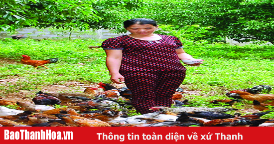 Người phụ nữ vượt khó vươn lên làm giàu - Báo Thanh Hóa ( https://baothanhhoa.vn › nguoi-tot ) 