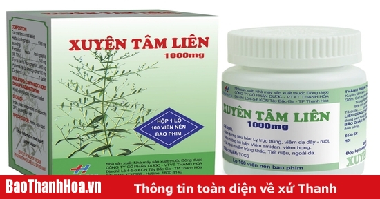 Xuyên tâm liên có tái tạo tế bào không?
