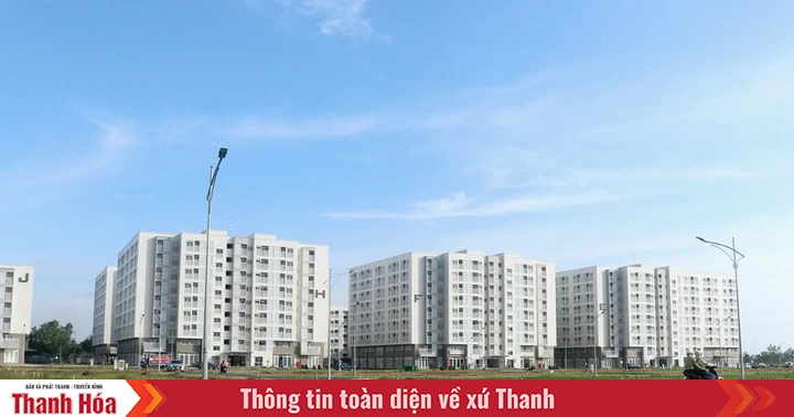baothanhhoa.vn
