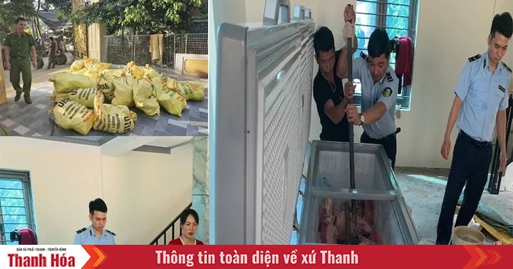Phát hiện hơn 1.600kg thịt mắc dịch tả lợn Châu Phi chuẩn bị bán ra thị trường