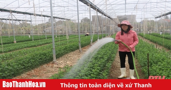 Phát triển nông nghiệp công nghệ cao - còn nhiều khó khăn