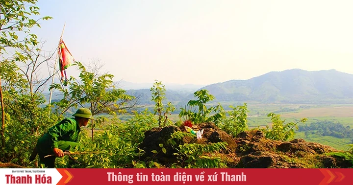baothanhhoa.vn