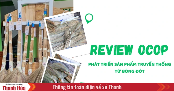 [REVIEW OCOP] Phát triển sản phẩm truyền thống từ bông đót