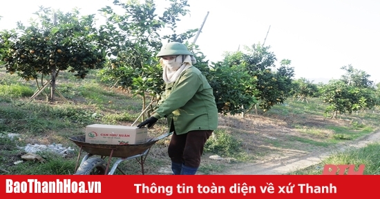 Sử dụng sản phẩm thân thiện với môi trường trong sản xuất, kinh doanh