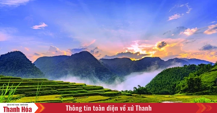 baothanhhoa.vn