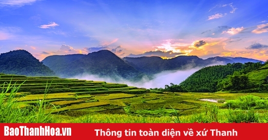 baothanhhoa.vn