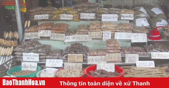 Thuốc điều kinh đông y Ca Công là gì?
