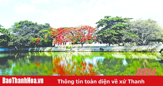 Khám phá làng văn hóa là gì và di sản văn hóa Việt Nam
