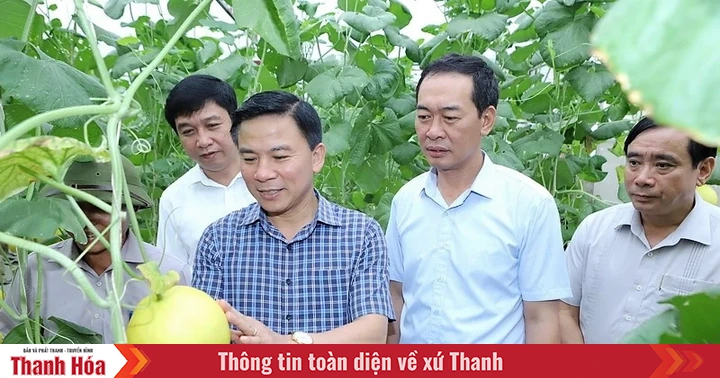 baothanhhoa.vn